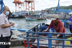Les forces compétentes supervisent l'acheminement des bateaux au port. Photo : VNA