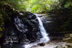 Bach Ma, entre forêts luxuriantes et cascades cristallines