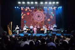Un spectacle culturel traditionnel vietnamien présenté par des artistes dans le cadre du programme d'échange culturel. Photo : VNA
