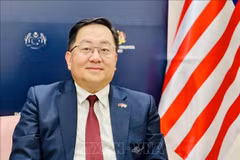 L'ambassadeur de Malaisie au Vietnam, Dato' Tan Yang Thai. Photo: VNA