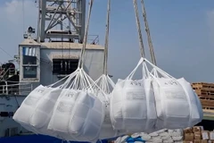 Les exportations de riz du Vietnam devraient dépasser les 8,2 millions de tonnes. Photo: VNA