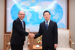 Le vice-Premier ministre Ho Duc Phoc (droite) reçoit Hao Quoc Tien, président de Toyota Motor Asia. Photo: VNA