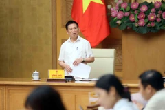 Le vice-Premier ministre Ho Duc Phoc s'exprime à la réunion. Photo: VNA