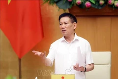Le vice-Premier ministre Ho Duc Phoc. Photo: VNA