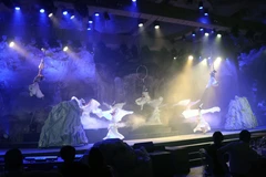 La performance artistique dans la grotte de la Perle du Dragon (baie d'Ha Long) suscite l'intérêt grâce à son utilisation de la technologie multimédia combinée aux arts de la scène. Photo : VNA