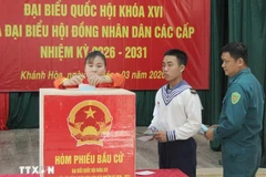 Élections législatives et locales : vote anticipé dans la zone spéciale de Truong Sa 