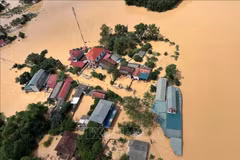 Des inondations dévastatrices font 577 maisons endommagées et 10 267 autres submergées. Photo: VNA
