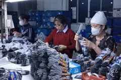 Le marché intérieur constitue une véritable "mine d'or" encore sous-exploitée pour les entreprises du textile, de l'habillement et de la chaussure. Photo: VNA