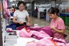 Une usine de la société TNG dans la province de Thai Nguyen produit des marchandises destinées à l'exportation vers le marché de l'UE. Photo : VNA