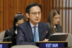 L’ambassadeur Do Hung Viet, chef de la Mission permanente du Vietnam auprès des Nations Unies, s'exprime à la session. Photo: VNA