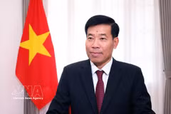 Le vice-ministre vietnamien des Affaires étrangères, Nguyen Manh Cuong. Photo: VNA
