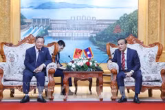 Le secrétaire du Comité provincial du Parti et président du Conseil populaire de la province de Vientiane, Phouthanouphet Xaysombath (droite), reçoit l'ambassadeur du Vietnam au Laos, Nguyen Minh Tam. Photo: VNA