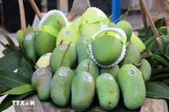 Valorisation des produits agricoles vietnamiens