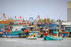 Les autorités suppervisent des bateaux de pêche afin de sensibiliser la communauté des pêcheurs à la nécessité de retirer le carton jaune. Photo : VNA 
