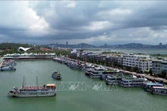 La flotte touristique de Ha Long au port international de Tuan Chau. Photo : VNA