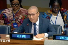 Le ministre plénipotentiaire Nguyên Hoang Nguyên, chargé d'affaires a.i de la Mission permanente du Vietnam auprès de l’ONU, s'exprime à la session annuelle du Conseil d’administration d’ONU Femmes. Photo: VNA