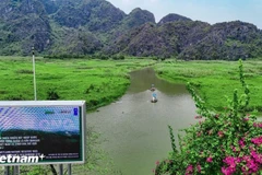 Conservation de la nature et de la biodiversité. Photo : Hoai Nam/VietnamPlus