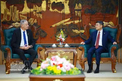 Le Premier ministre Le Minh Hung (droite) reçoit l'ambassadeur d'Israël au Vietnam, Yaron Mayer. Photo: VNA