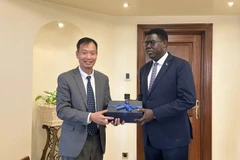 L’ambassadeur du Vietnam en Égypte, également accrédité au Soudan du Sud, Nguyen Nam Duong (gauche), et le ministre sud-soudanais des Affaires étrangères et de la Coopération internationale, Monday Semaya Kumba. Photo: VNA