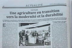 L'article est publié sur le quotidien algérien Cresus. 
