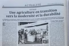 L'article est publié sur le quotidien algérien Cresus. 