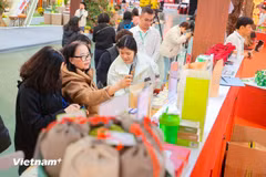 La Foire du Printemps 2026 s’est ouverte à Hanoï comme un espace de rencontre entre la mémoire collective et la vie contemporaine. Photo: Vietnam+