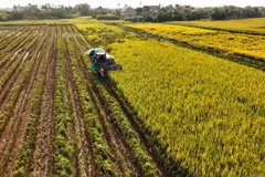 La trajectoire remarquable de l’agriculture vietnamienne