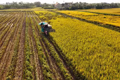 La trajectoire remarquable de l’agriculture vietnamienne