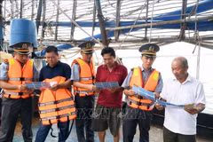 Campagne de sensibilisation contre la pêche illicite, non déclarée et non réglementée (INN) destinée aux armateurs et aux propriétaires de navires de pêche hauturière au port de pêche d'An Hoa, à Da Nang. Photo : VNA
