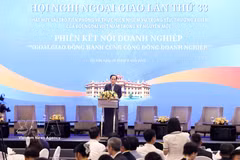 Le ministre des Affaires étrangères Le Hoai Trung s'exprime lors de la session intitulée «La diplomatie accompagne la communauté des entreprises». Photo: VNA