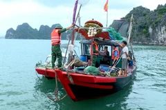 Photo d'illustration: VNA