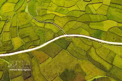 Des paysages de rizières à couper le souffle dans la province de Son La