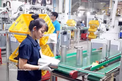 Le Sud-Est du Vietnam attire près de 23 000 projets représentant un capital total de plus de 205 milliards de dollars. Photo: VNA