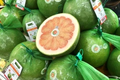 Le pamplemousse devient le huitième fruit vietnamien autorisé à accéder au marché australien. Photo: VNA
