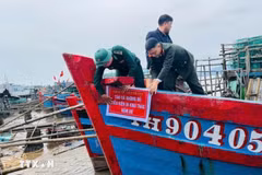 Les autorités des provinces côtières contrôlent les activités des navires de pêche qui ne respectent pas les exigences en matière d'opérations de pêche. Photo : VNA
