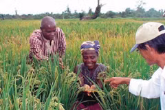 Vietnam – Sénégal : vers de nouvelles perspectives de coopération