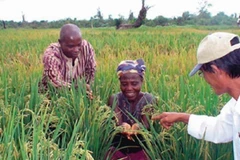 Vietnam – Sénégal : vers de nouvelles perspectives de coopération