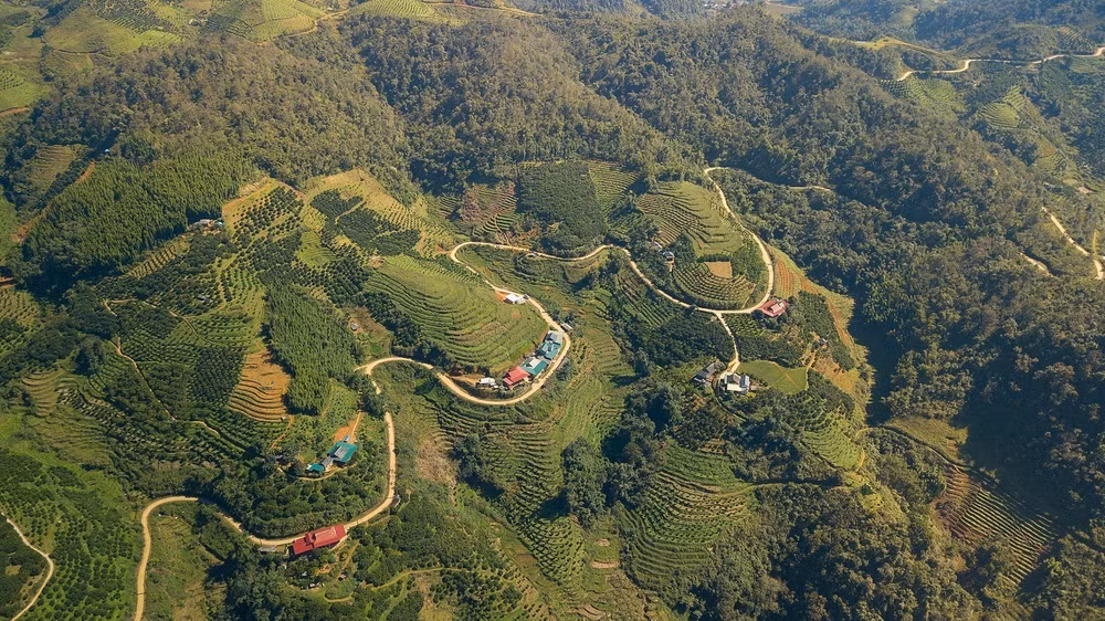 muong-2.jpg