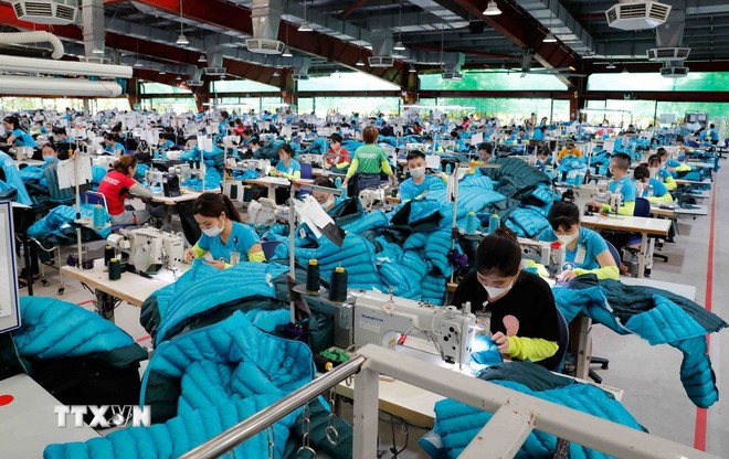 Articles de couture destinés à l'exportation vers les marchés américain et européen chez Maxport Garment Company. (Photo : VNA)