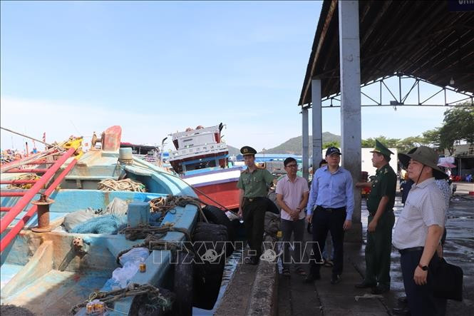 Le vice-président du Comité populaire municipal, Hoàng Nguyên Dinh, et la délégation ont inspecté les opérations d’accostage des navires, le débarquement des produits halieutiques ainsi que la déclaration et la traçabilité de l’origine des captures. Photo : VNA