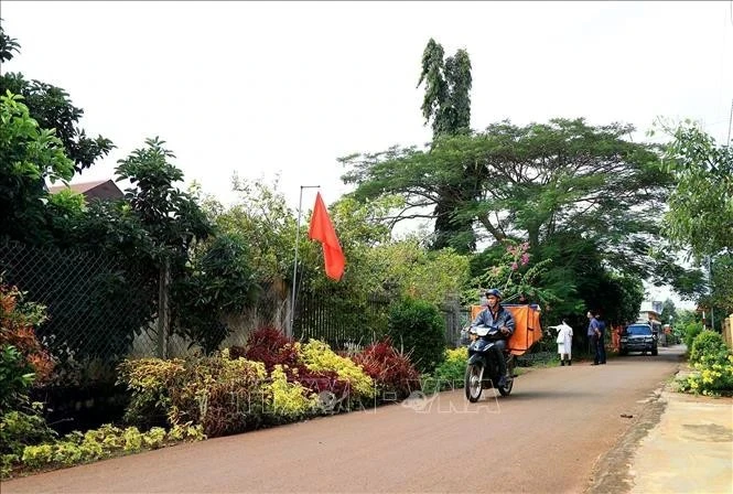 Modèle de Nouvelle ruralité dans la commune de Xuan Dinh, district de Xuan Loc, province de Dong Nai. (Photo : VNA)