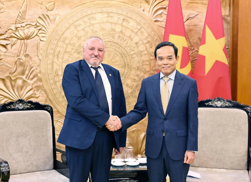 Tran Luu Quang, secrétaire du Comité central du Parti communiste du Vietnam (droite) et le président du Parti socialiste hongrois Komjáthi Imre. Photo : VNA