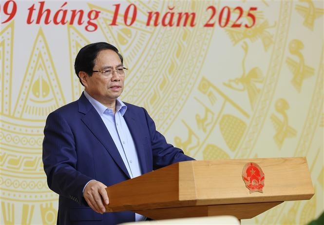 Le Premier ministre Pham Minh Chinh lors de la réunion. Photo : VNA
