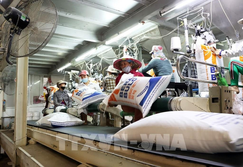 Avec un objectif fixé à 8 millions de tonnes de riz exportées en 2025, le Vietnam en a déjà expédié 6,3 millions au cours des huit premiers mois, confirmant que le plan reste sur la bonne trajectoire. Photo : VNA