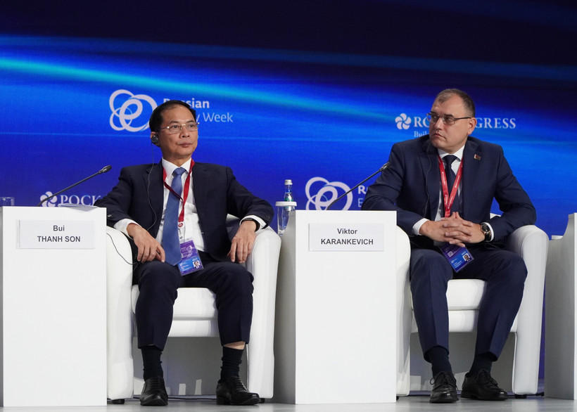 Le vice-Premier ministre Bui Thanh Son lors du forum. Photo : VNA