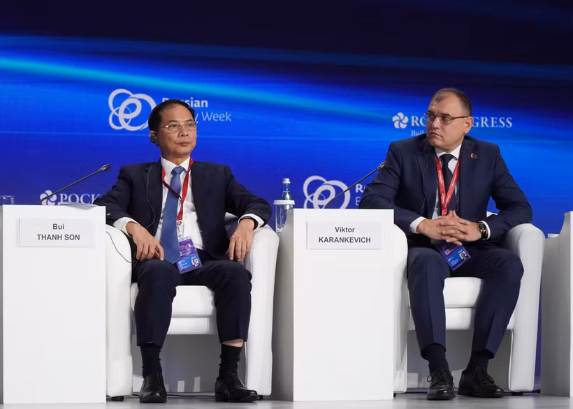 Le vice-Premier ministre Bui Thanh Son lors du forum. Photo : VNA