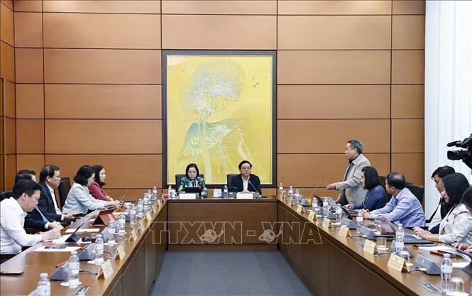 Lors de la session. Photo : VNA