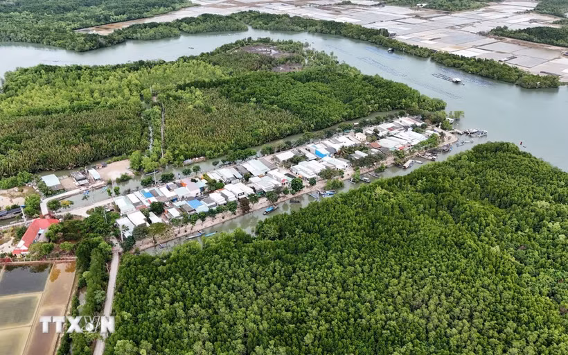 Zone résidentielle concentrée au milieu de l'écosystème de mangrove sur le hameau de l'île de Thieng Lieng. Photo : VNA