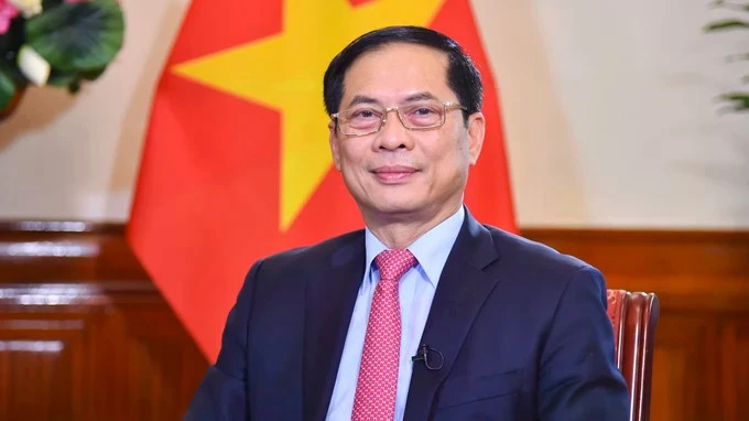 Le vice-Premier ministre Bui Thanh Son. Photo : VNA