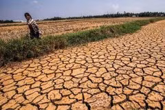 Le Japon propose une coopération avec l'ASEAN en matière de prévention des catastrophes naturelles